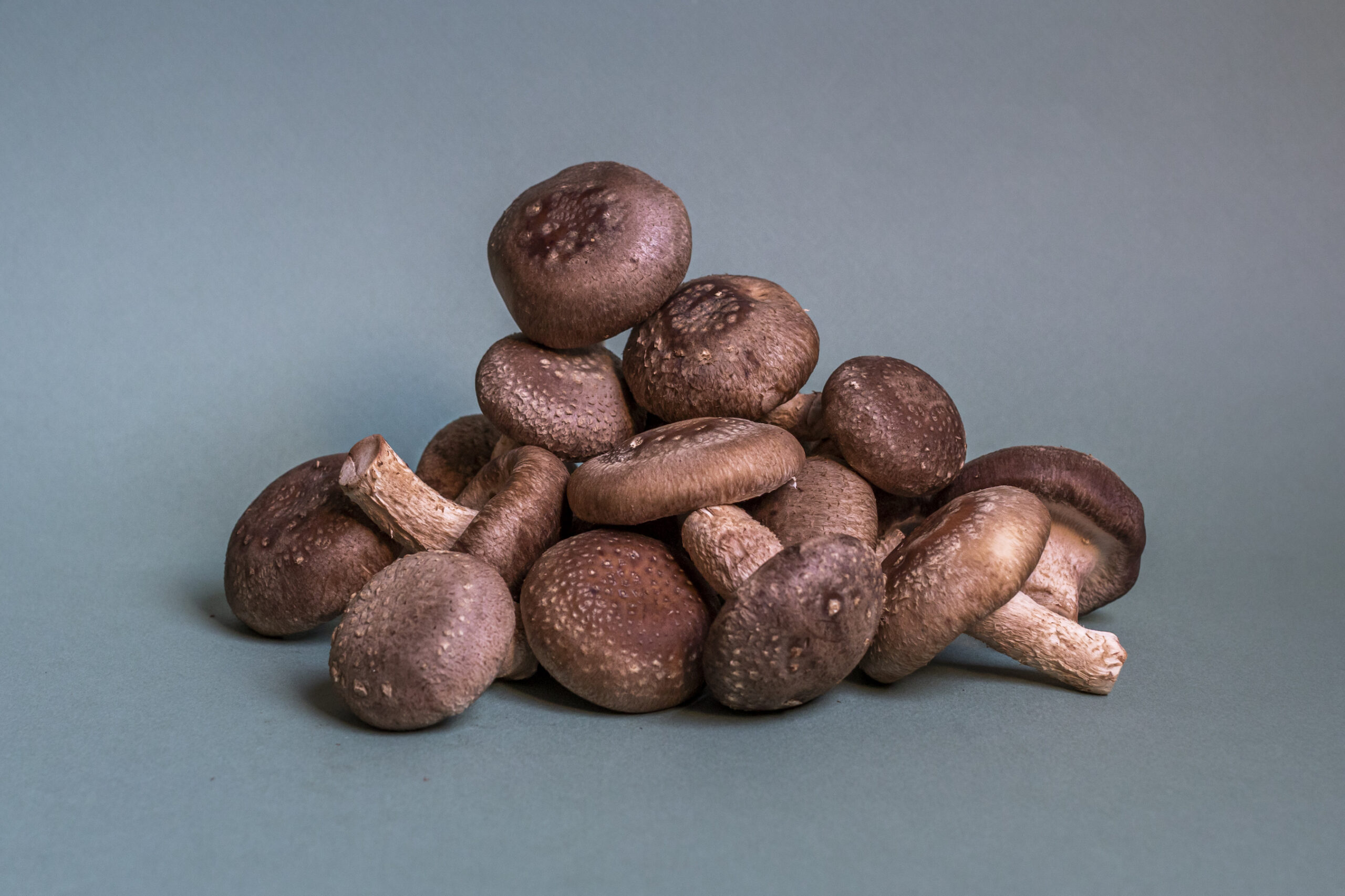 Fresh Shiitake mushrooms from Below Farm